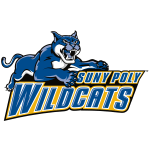 SUNY Polytech Wildcats