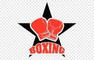 Sportsurge Boxing